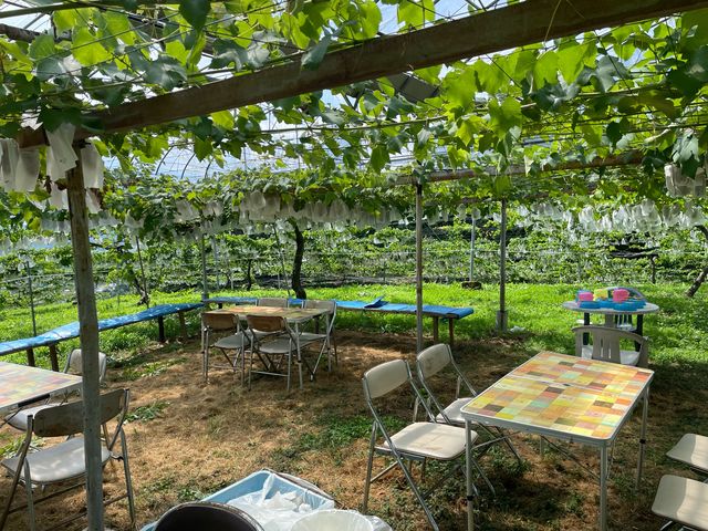 ���􂤐������L��܂��B_�@���΂Ԃǂ����