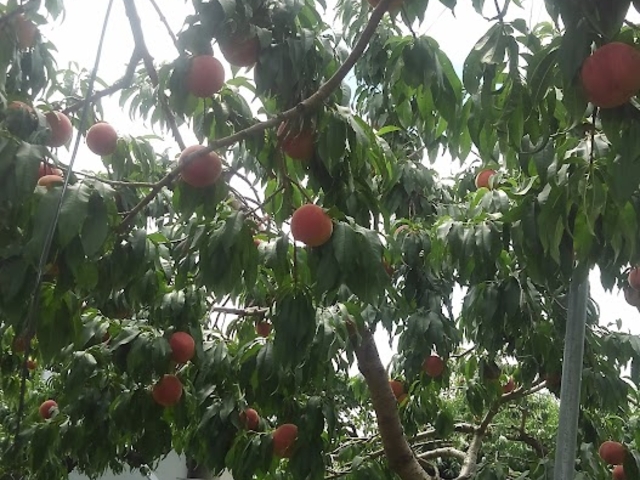 �r���ɏ��Ȃ��Ƃ��肪�͂����ɂ������Ă��܂���_������