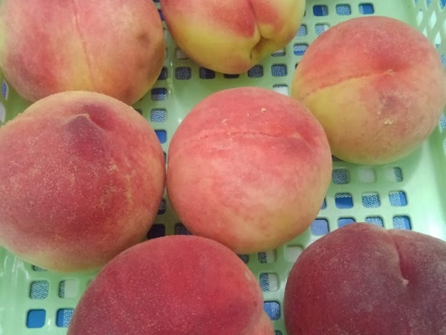 �H�ו���̓�
���╅����Ȃ��Â������ł��B_������