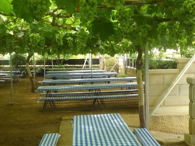 �H�ו���̉��A�Ԃǂ��I�̉����͋C���ǂ������ł��B_������