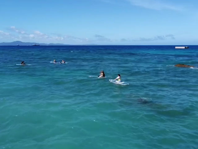 �������߂Ń{�[�h�ɗ����Ƃ͓���������A�{�[�h�̉��Ɍ�����X��ʂ⋛�̌Q��ɂ͊������܂����B_CLEARSUP JAPAN�y75�}�����z�h���[����B�f���ʐ^�B�����!