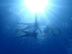 傳̃}Nu Gigiւ̓eʐ^1