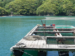 ΔnA[tBbVOVD@Ȃۂ̎ʐ^2