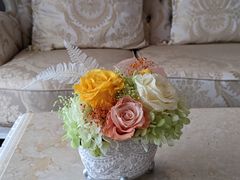 ₿񂳂̃AgGMւ̓eʐ^1