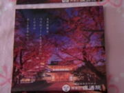 �T���v������̐�P�̕�̓��e�ʐ^1