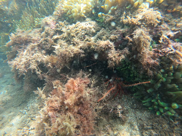 �ɐ��G�r�����邩�ȁH_�G�R�T�[�t�@�[