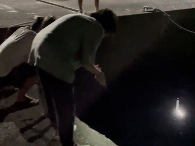 ���̎��Ԃ͍ō��I�h�L�h�L���N���N���Ƃ܂�܂���I�I_���u������@���X�g