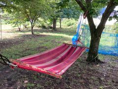 �������񂳂�̂���_���ւ̓��e�ʐ^1