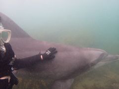 [񂳂̃V[}Yr[`ւ̓eʐ^1