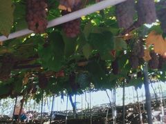 NAE33E(sόԂǂZ^[x)ւ̓eʐ^1