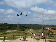 ܂SR̃lX^][g_˂̓eʐ^1