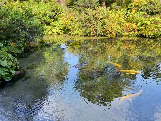 �l�����̒�_��̉j���܂�