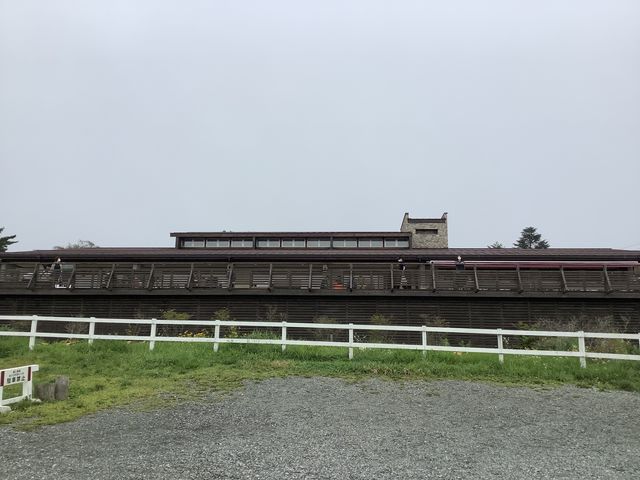 �V�����{�݁@�S�̑�_����