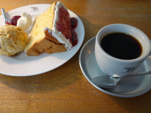 R[q[ƃXR[ƃVtHP[L_iXEVE]E JtF