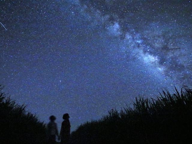 ����_motti�@���\���g���b�L���O�G�R�c�A�[