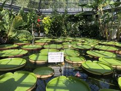 ܂݂̔Moiijւ̓eʐ^1