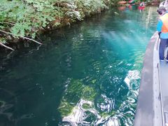 ̂肳̃BgJ̓]ւ̓eʐ^1