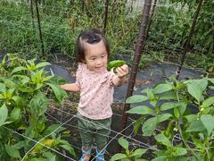 [񂳂̂䂤䂤_ւ̓eʐ^1