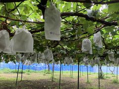 Daddyshinn����̂ނ����̂ӂ��[�ނւ̓��e�ʐ^1