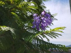 �����ڂ�����̏��l���򑫓��@�ق��Ƃӂ��ƂP�O�T�ւ̓��e�ʐ^2