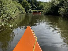 悵񂳂̃Jk[VbvqCւ̓eʐ^2