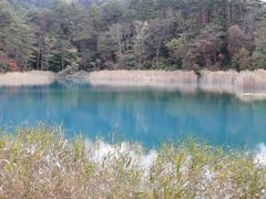 �ܐF���Ώ��Q�̎ʐ^1