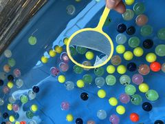 肳THE KOBECRUISE ~iX_2ւ̓eʐ^1