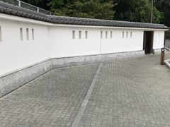 ������������̐��ˏ隬�ւ̓��e�ʐ^1