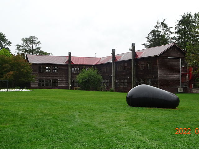 �΂̒��̖ؑ��Z��_���c���������p�� �A���e�s�A�b�c�@���S