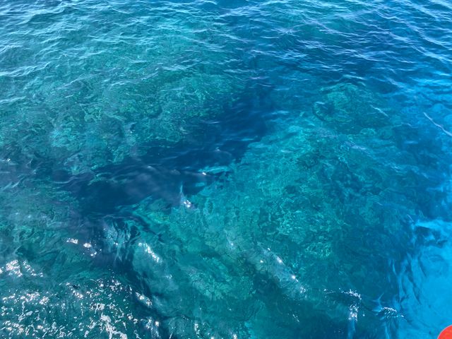 �X�肪�������߂��ł�^ ^_�p�C���[�c�}�����N���u