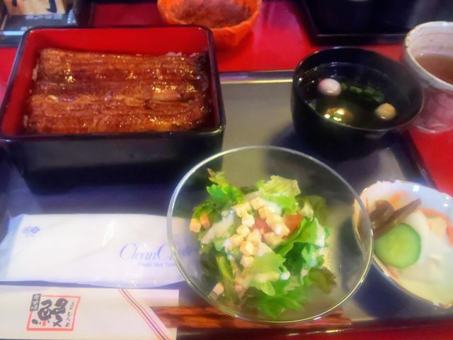 T_EVE̋zt@`イȏd_Ȃ ނ