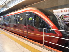 O`̋ߋE{SÉwւ̓eʐ^1