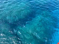 }[̃pC[c}Nuւ̓eʐ^1