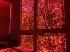 �Ȃ����񂳂�̘Z�b���R�A�����ւ̓��e�ʐ^1