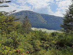 箱根湿生花園の口コミ一覧 じゃらんnet