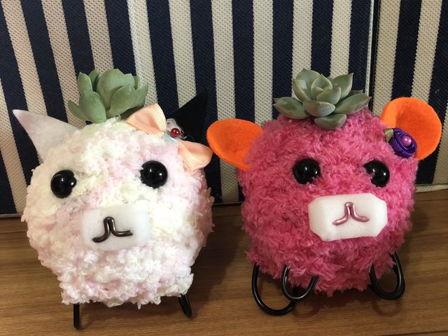 qB܂I
̎q̓́AǂȂ̂ɂȂ邩y݂łI_Ƃ͉̂Y