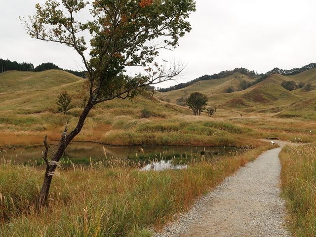 �u�􍂌�_�u�􍂌�