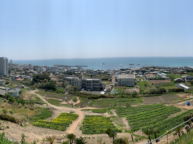 ���ォ��̌i�F�I_�ό��_�R �]���Ԋ}�R