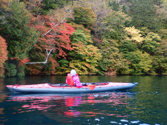 �f���炵���g�t�B_�{���t�@�C�A �J�k�[