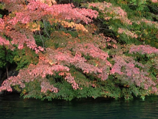 �����̓܂�󉺂ł̍g�t�ł������A�Ώォ��̍g�t���͊����ł����B_�{���t�@�C�A �J�k�[