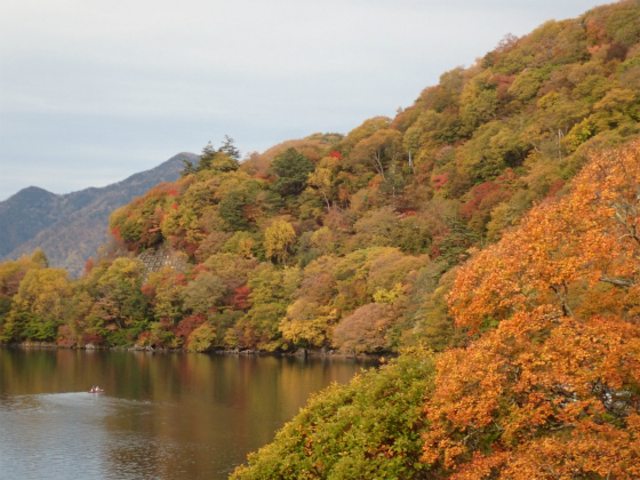 �W���ꏊ����̍g�t�B_�{���t�@�C�A �J�k�[