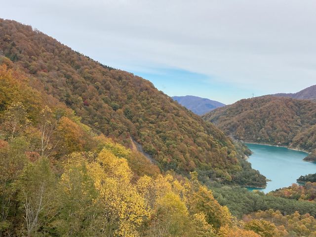 ���ꂪ��i���ȁI
�Ƃ������̂ł��I�I
����Ӗ��W�F�b�g�R�[�X�^�[���h�L�h�L�����I_�c��X�L�[��