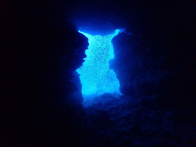 �����h���[���z�[��_Y'S DIVE OKINAWA