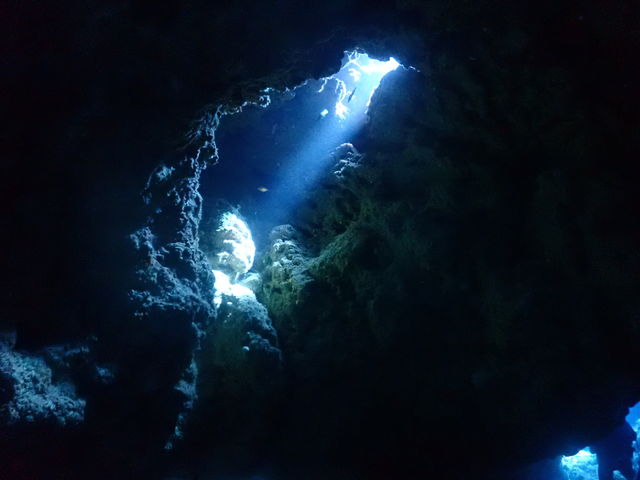 �n�`_Y'S DIVE OKINAWA