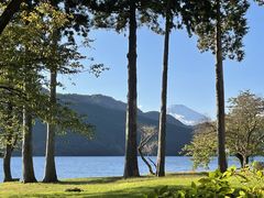 GR̃UEvX@m΂ւ̓eʐ^1