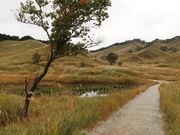 Ђł񂳂̓u􍂌̓eʐ^1