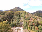 �͂Ȃт���̒f���k�̓��e�ʐ^1