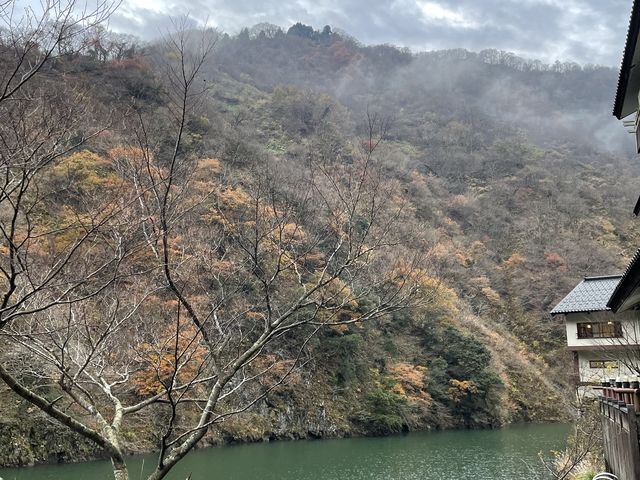 ��q����̑�����̌i�F_��q����