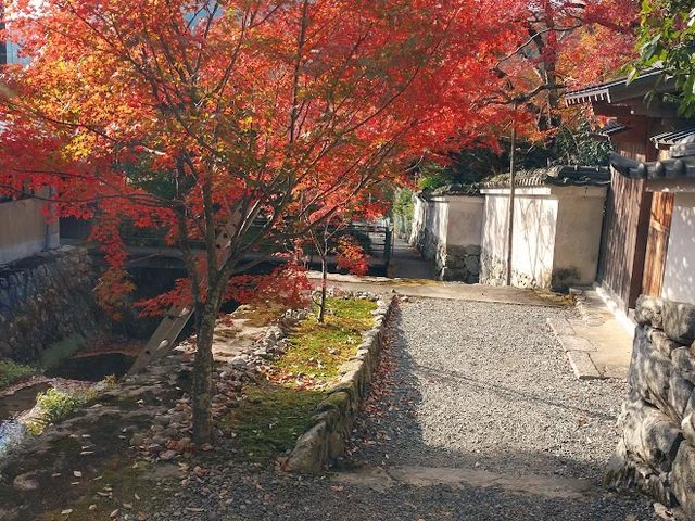 �Ós�̊���_�匴