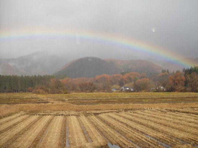 �s�U������̂��X����B�e�B�J������A�c��ڂ̌������ɓ���...!
���������肻���B_�R�̂͂��݂�